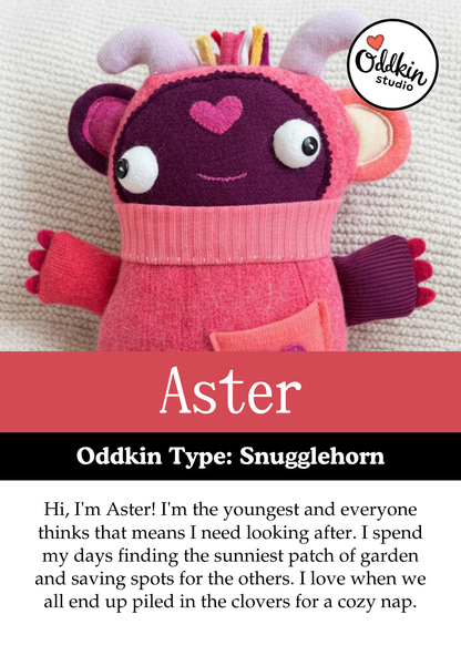 Aster Rosebop the Snugglehorn